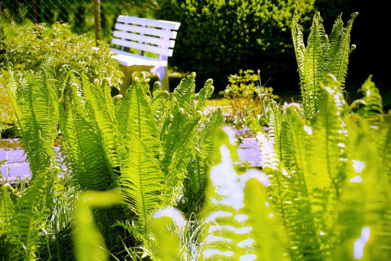 Mitten Im Seenland Und Spreewaldnah, Schoener Garten شتوركو المظهر الخارجي الصورة