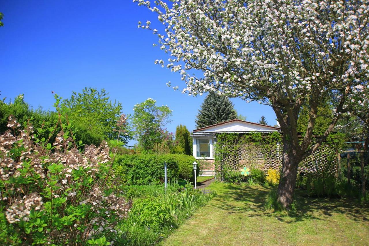 Mitten Im Seenland Und Spreewaldnah, Schoener Garten شتوركو المظهر الخارجي الصورة